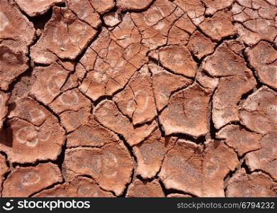 dry mud background texture. Global Warming . dry mud background texture