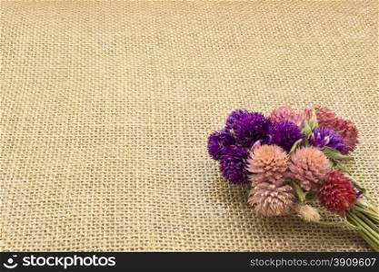 Dry multi-colored flowers on a background of burlap.