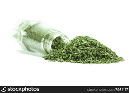 Dry parsley over white background