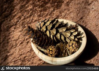 dry pine cones as forest nature elements background