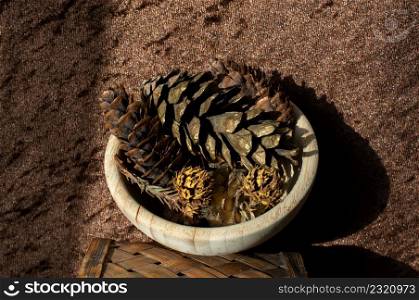 dry pine cones as forest nature elements background