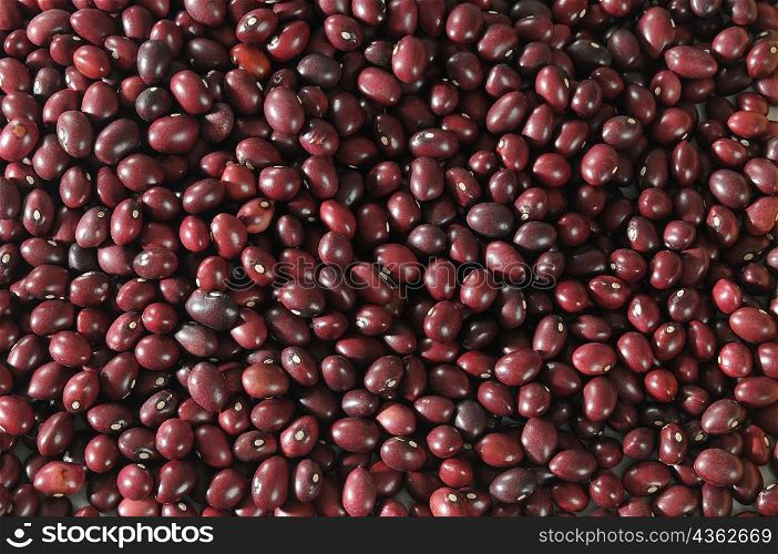 Dry red beans.