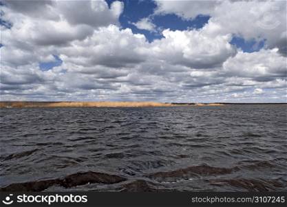 dry reed on deep lake