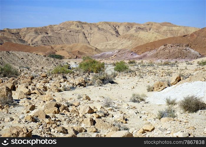 Dry riverbed and mountain near crater Ramon in Negev desert, Usrael