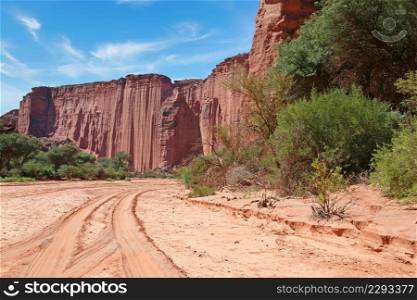 Dry riverbed and steep sandstone cliffs in the Tal&aya National Park, La Rioja, Argentina 