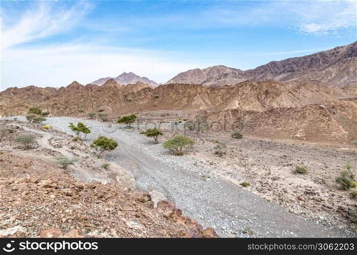 dry riverbed between arid and rocky Mountains with few green trees, Ras Al Khaimah Emirates, United Arab Emirates (UAE), Middle East. Mountains located in the Ras Al Khaimah Emirates, UAE