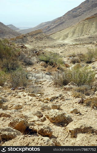 Dry riverbed in Negev desert in Israel