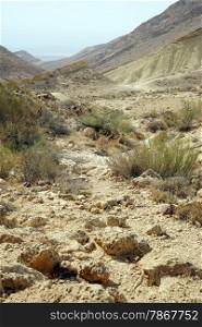 Dry riverbed in Negev desert in Israel