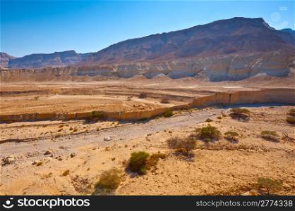 Dry Riverbed in Sand Hills of Samaria, Israel