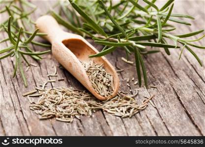 Dry rosemary in wooden scoop and green twigs