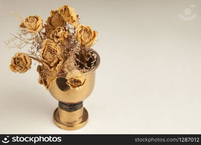 Dry roses in vase with beige background
