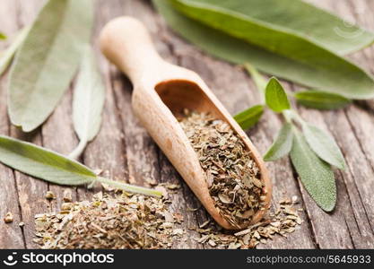 Dry sage in wooden scoop and green twigs