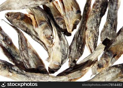 Dry salt fish on the white background. (Gobiidae), (isolated)