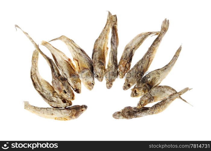 Dry salt fish on the white background. (Gobiidae), (isolated)