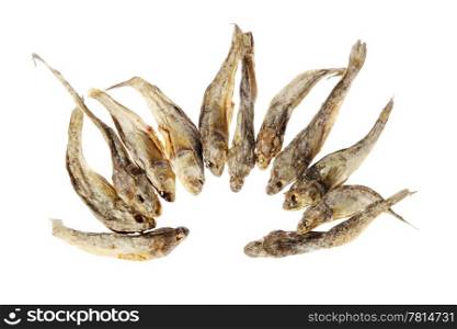 Dry salt fish on the white background. (Gobiidae), (isolated)