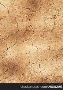 Dry soil texture