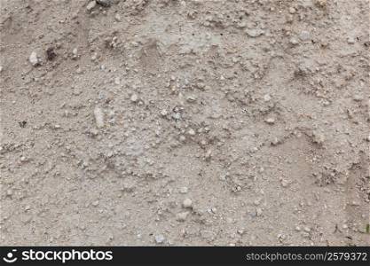 Dry soil with little stones closeup. Textured surface