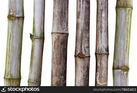 Dry stalks of bamboo on white background with path