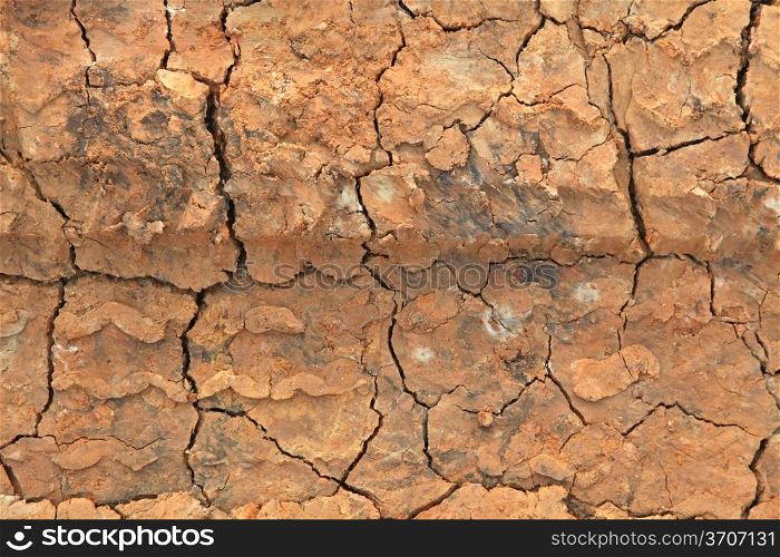 Dry terrain ground using as background