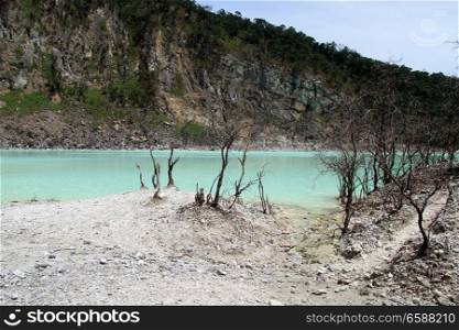 Dry trees and crater lake Kawah Putih near Bandung, Indonesia