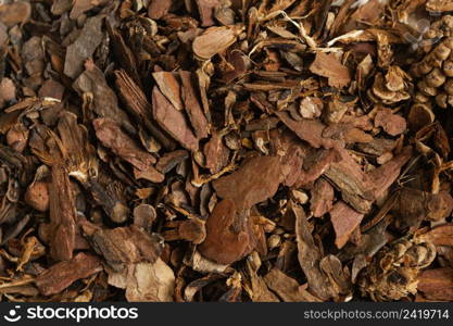 dry vegetation close up