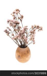 dry vintage flower in vase isolated on white background