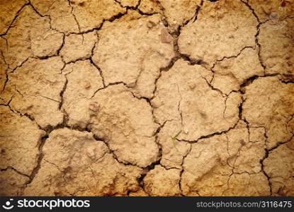 Dry yellow soil in the desert. Texture for background