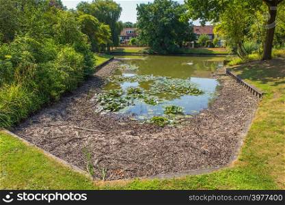 Drying dutch city pond in summer time