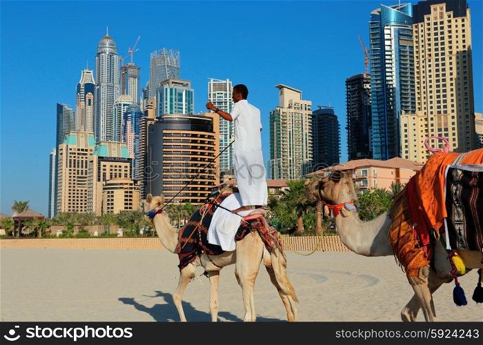 DUBAI, UAE - NOVEMBER 11, 2013: High rise buildings and Arab man sitting on a camel