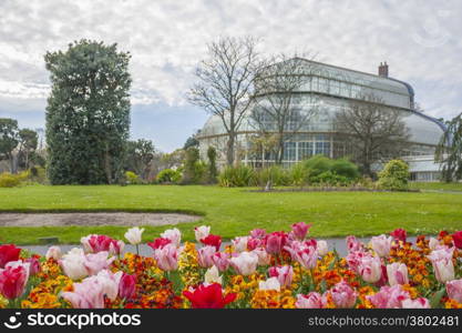 Dublin, Ireland - Apr 19: Great Palm House - Greenhouse in The National Botanic Garden in Glasnevin, Dublin, Ireland on April 17, 2014