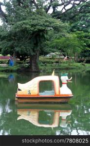 Duck boat on the lake in public park, Yangon, Myanmar