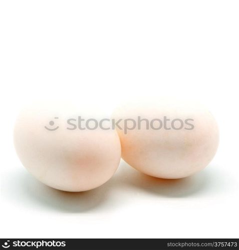 Duck egg isolated on a white background