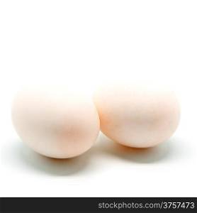 Duck egg isolated on a white background