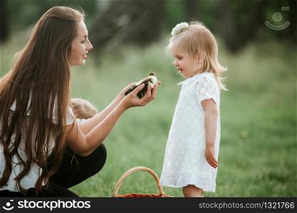duckling in the hands of a woman. mom shows her daughter a little duckling. Mother shows children little ducklings in wicker basket. duckling in the hands of a woman. mom shows her daughter a little duckling in the park