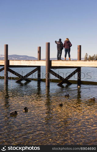 Ducks and People enjoy Lake Tahoe winter day