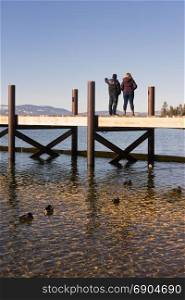 Ducks and People enjoy Lake Tahoe winter day