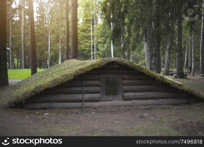 dugout in the forest. Environmentally friendly house