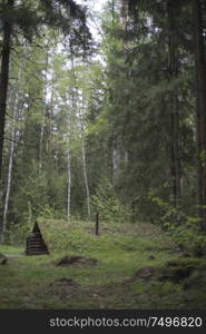 dugout in the forest. Environmentally friendly house