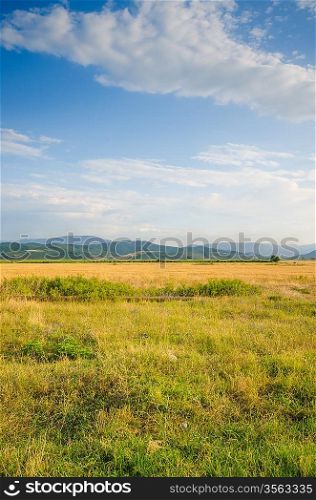 Dull countryside landscape in summer evening