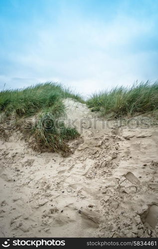 Dune hill covered with sand and reed