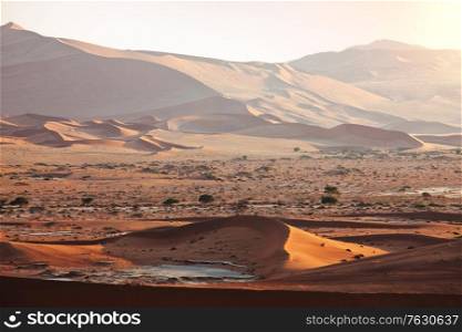 Dunes and dead acacia trees in the Namib desert, Dead Vlei, Sossusvlei, Namibia, Africa. Famous touristic destination