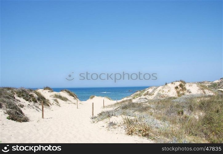 dunes at Milfontes beach, south west of Portugal