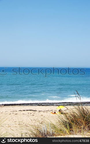 dunes at Milfontes beach, south west of Portugal