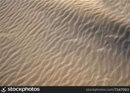 Dunes beach sand texture in Costa Dorada of Catalunya