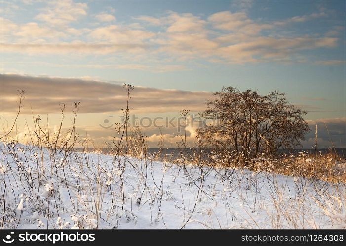 Dunes covered by fresh snow at the beach at Parnu, Estonia in early winter morning. Soft sunrise light.