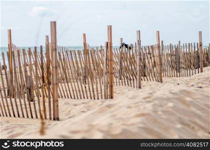 dunes fencing along outer banks of north carolina in cape hatteras national seashore