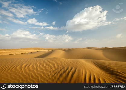 Dunes of Thar Desert. Sam Sand dunes, Rajasthan, India