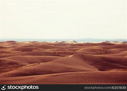 Dunes of the Gobi desert