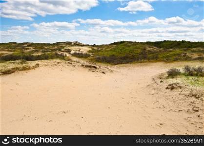 Dunes on the Shore of the North Sea, Netherlands