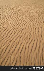 Dunes sand texture in Costa Dorada of Catalonia